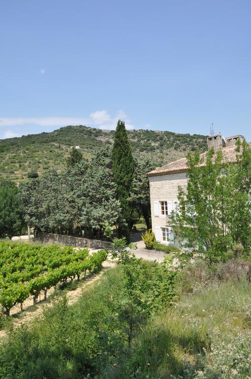 Domaine Le Bourdet Villa Saint-Sauveur-de-Cruzières Exterior photo